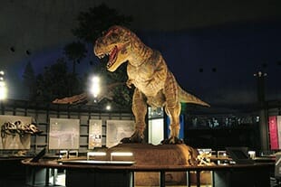 福井県立恐竜博物館

