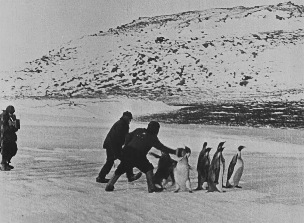 南極探検
