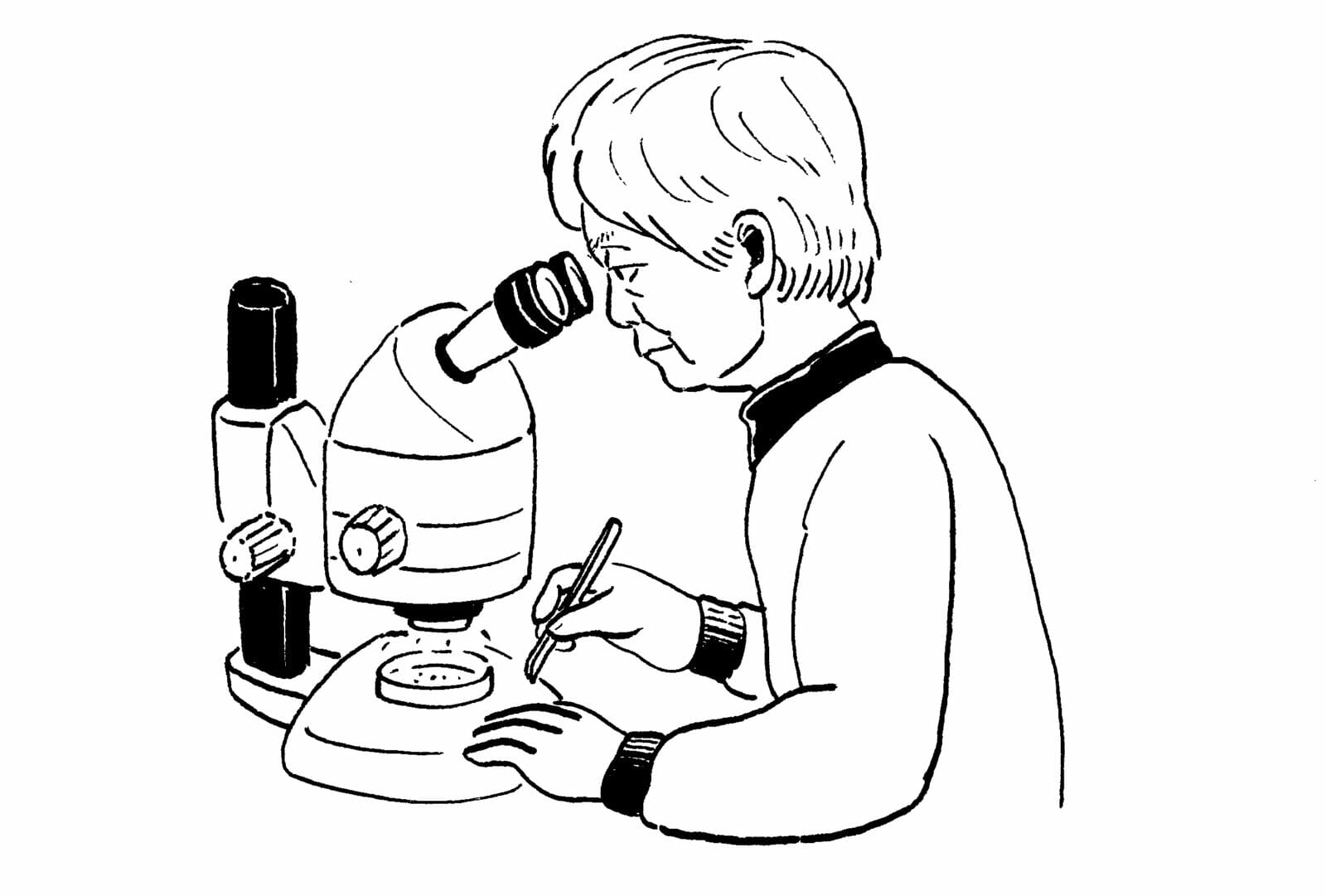 顕微鏡を覗くイラスト
