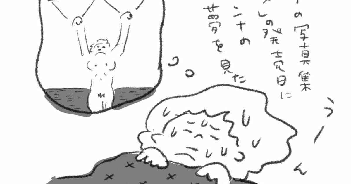 しまおまほのセクよろ Season2 第7回 セックスシンボル Popeye Web