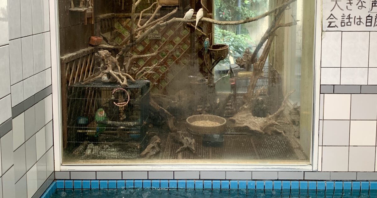 Go with the 風呂〜 Vol.13 松葉湯／文・大智由実子 | POPEYE Web