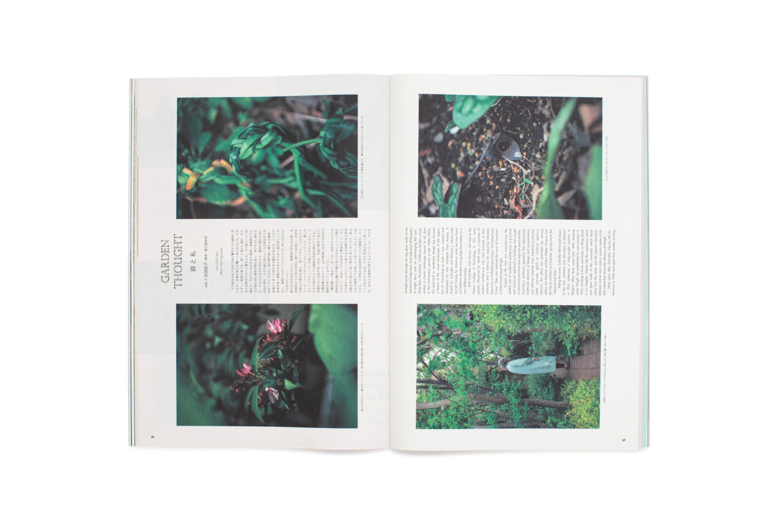 写真家・長島有里枝さんが撮り下ろす、「庭と人」をテーマにした連載「庭と私」。