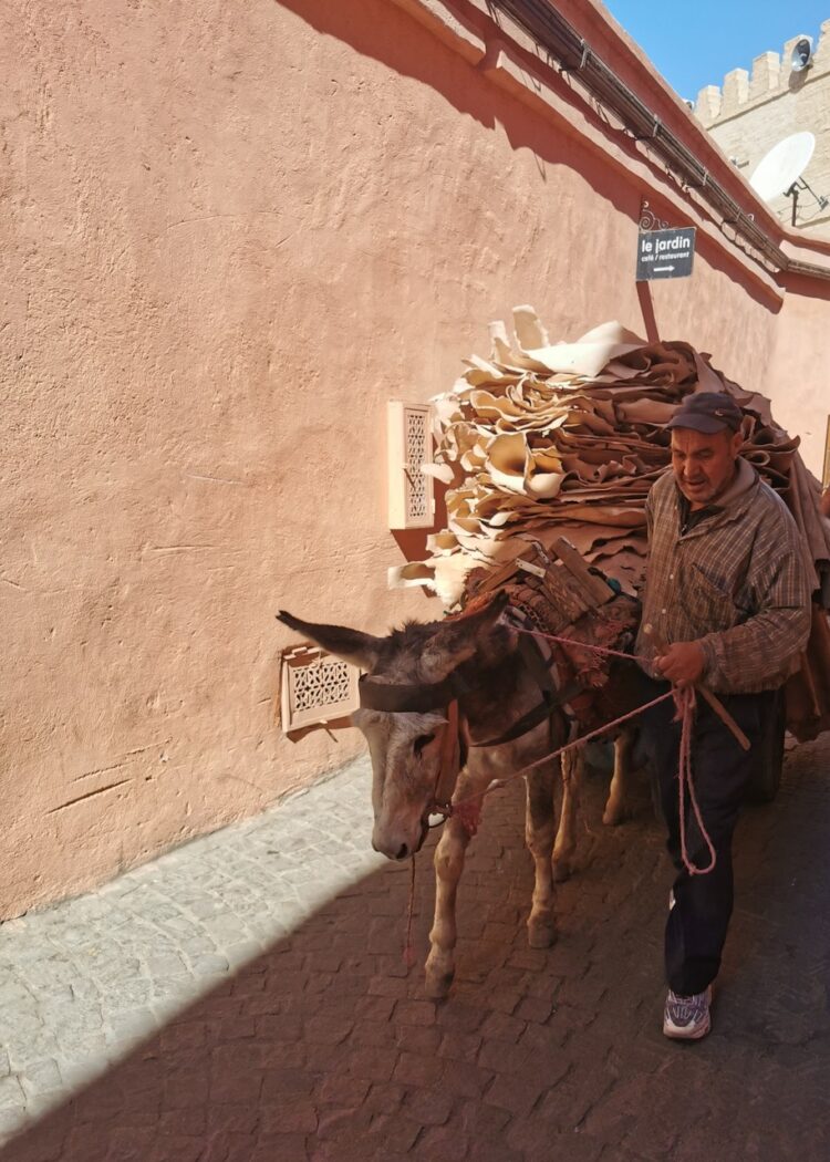 【#4】モロッコの旅 消費