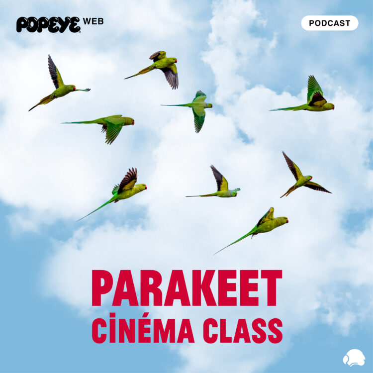 PARAKEET CINEMA CLASS Vol.1／『EO』（監督：イエジー・スコリモフスキ）