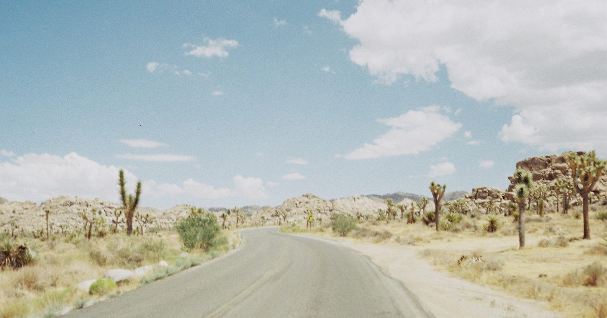 1】ON THE ROADERS 〜LA to Joshua Tree〜／執筆: 〈Bong Sadhu