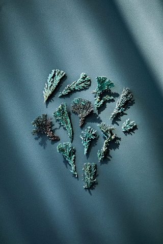 机の上のサイエンス。Vol.31