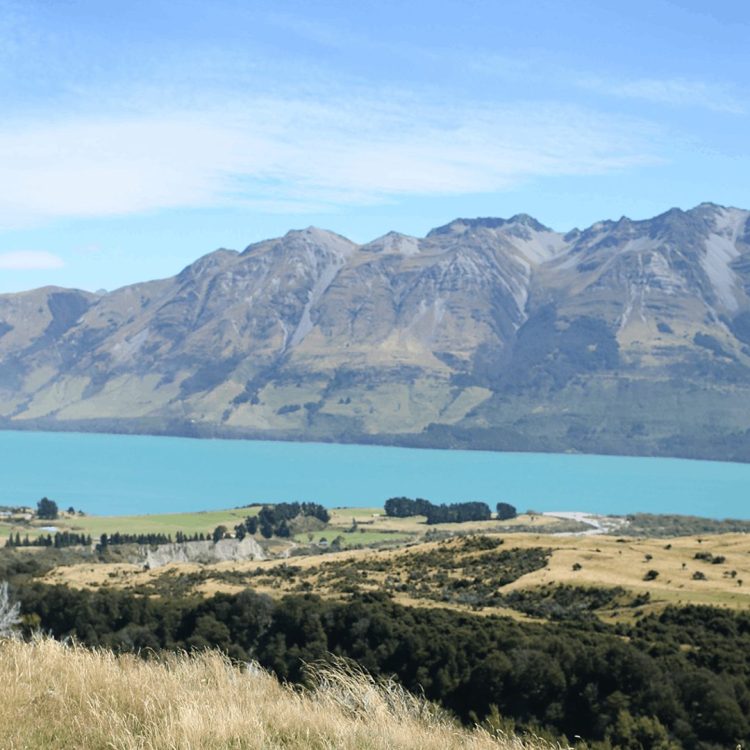 ゴールドラッシュをめぐる冒険 in New Zealand Vol.9