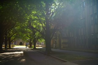 東京大学の外観