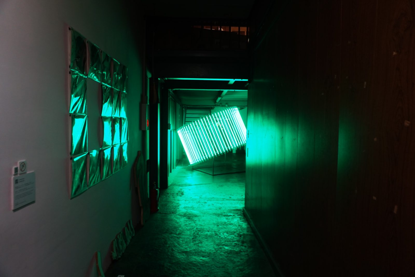 Static Lights 展示風景、GASBON METABOLISM、山梨、2025　Photo courtesy: GASBON METABOLISM