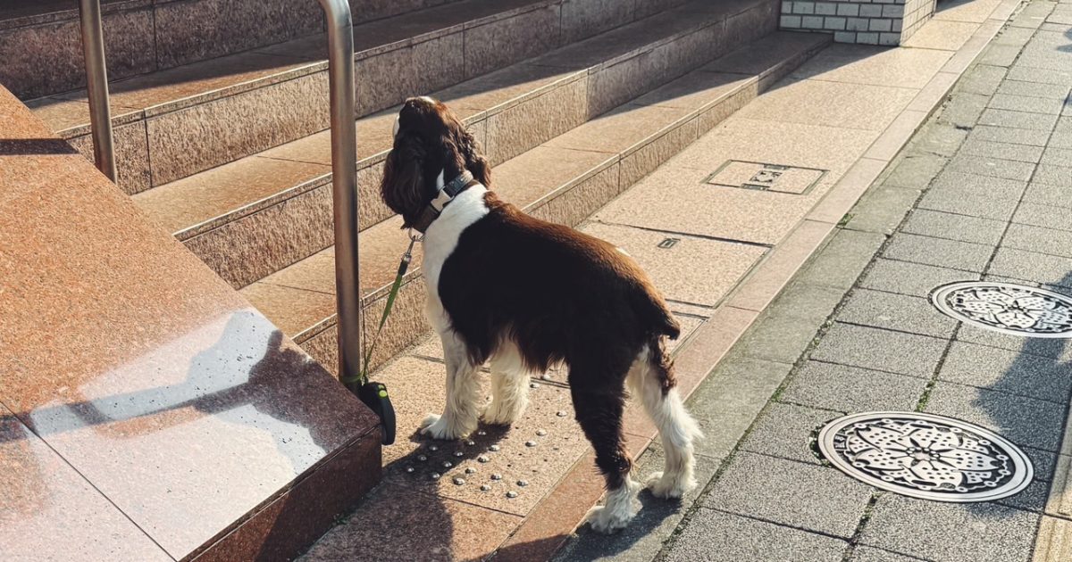 ローファー氏とわたし／上白石萌歌の『ひとりがたり』Vol.21