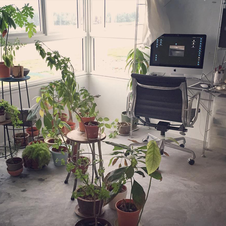 【#4】オフィスと植物