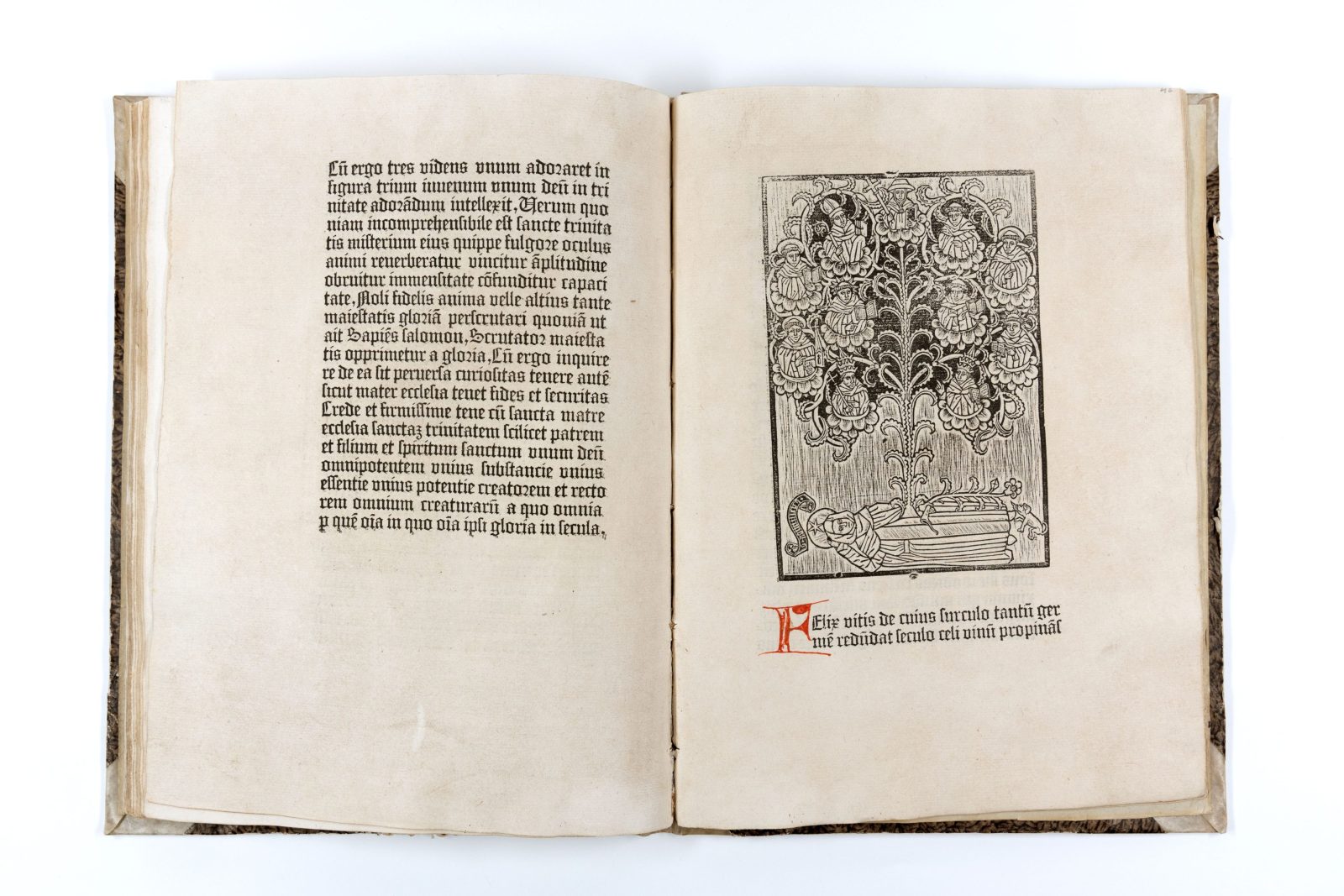 フアン・デ・トルケマダ　『瞑想録』1479年
グーテンベルク博物館蔵　　Gutenberg Museum, Mainz