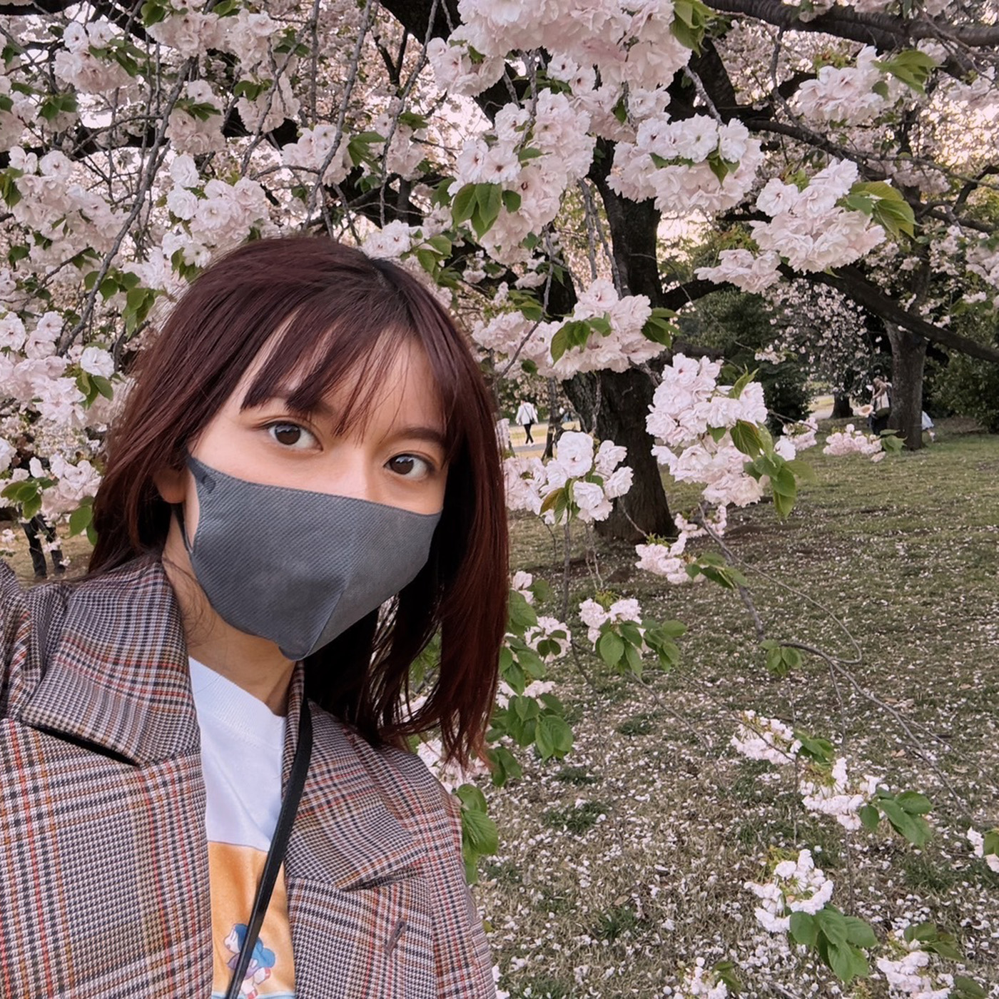 桜を見にゆく／文・上白石萌歌