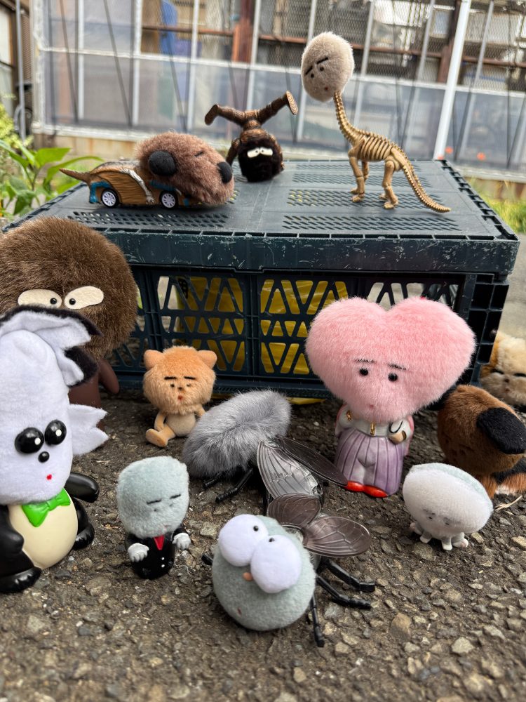 片岡メリヤス個展「ハエごめんなさい」に行く。