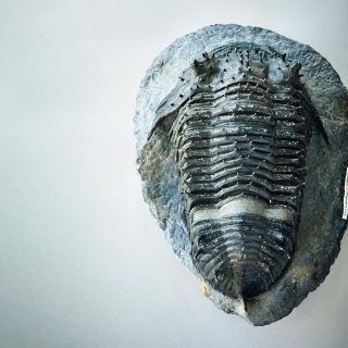 机の上のサイエンス。Vol.50