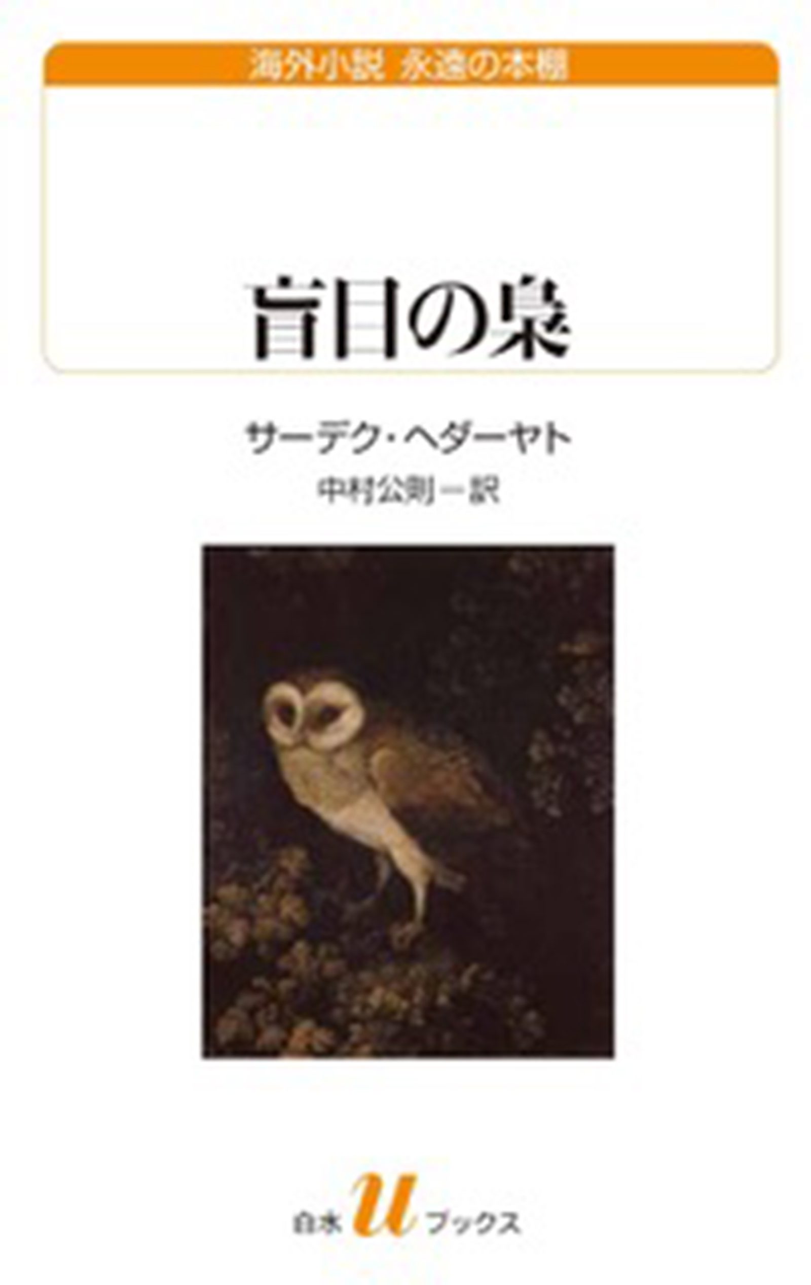 アメリカ文学を研究する青木耕平さんによる『盲目の梟』のレビュー。