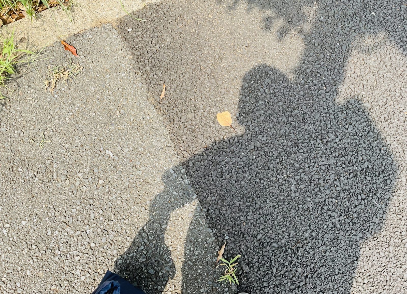 【#3】ありがとう緑