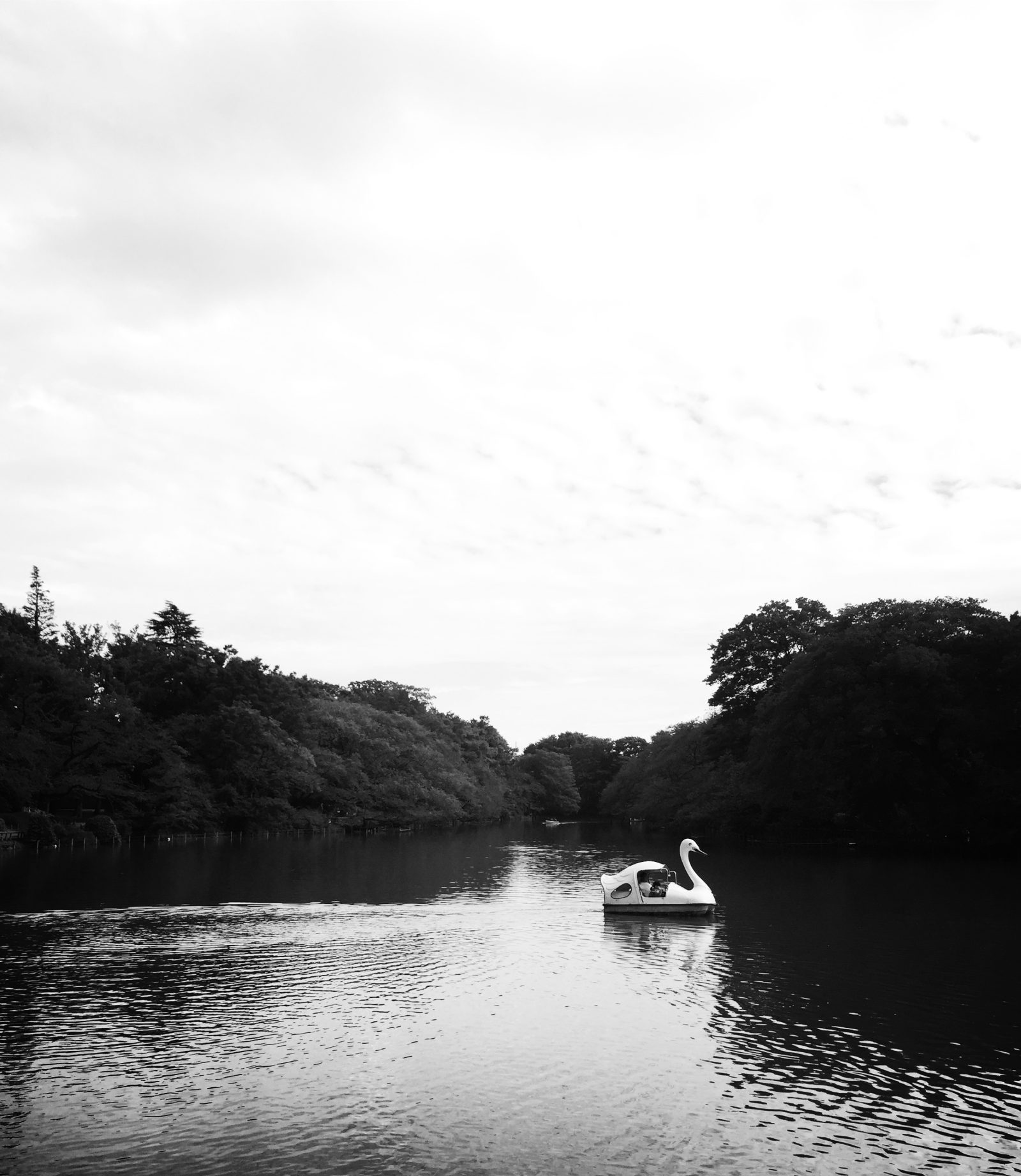 【#4】武蔵野音楽史序説／歌の舞台としての「井の頭公園」
