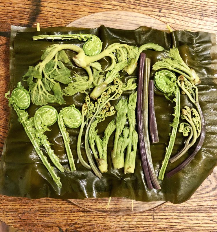 【#3】山のおみやげ／山菜編