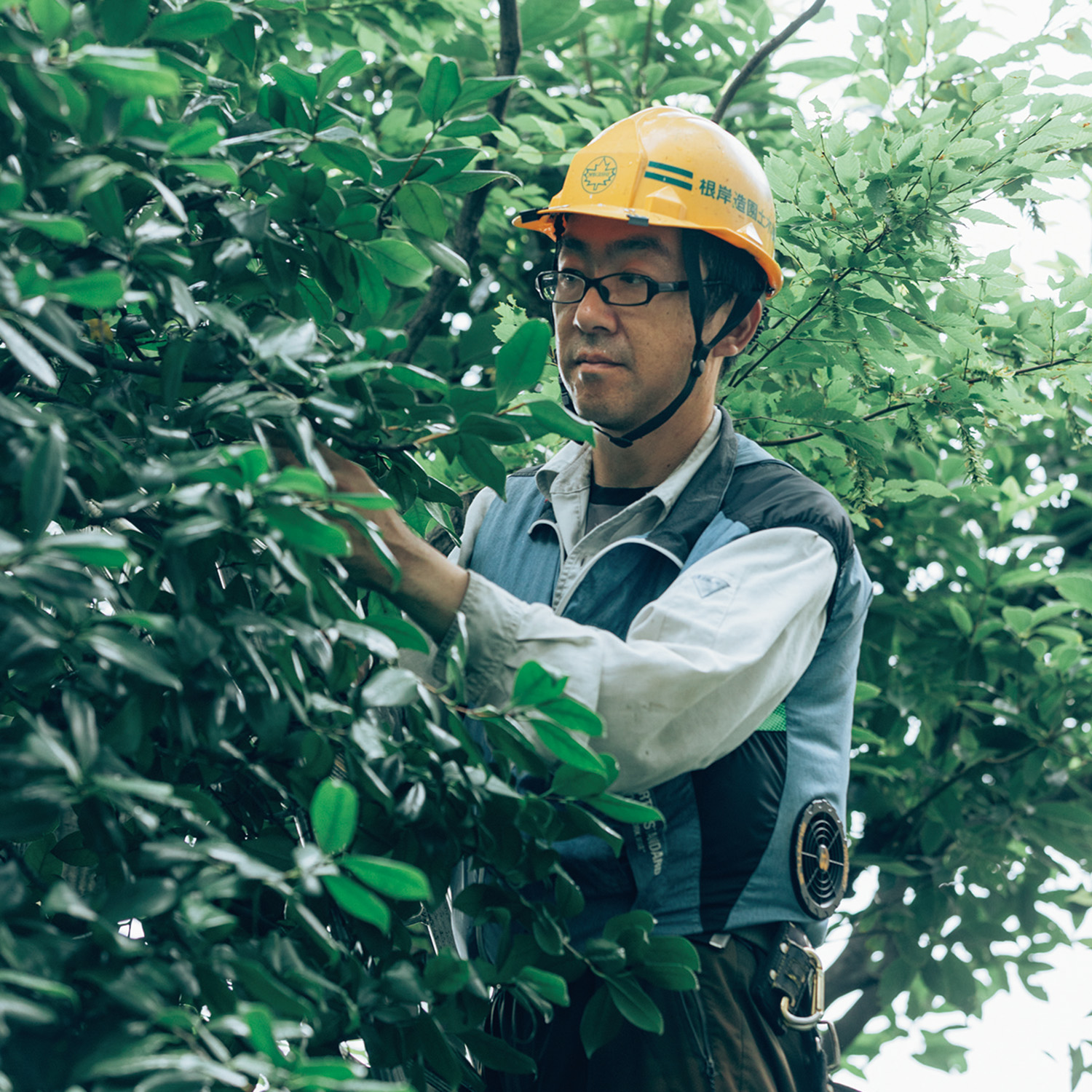 きみも建設業界で働いてみない？／造園業・根岸 隆さん