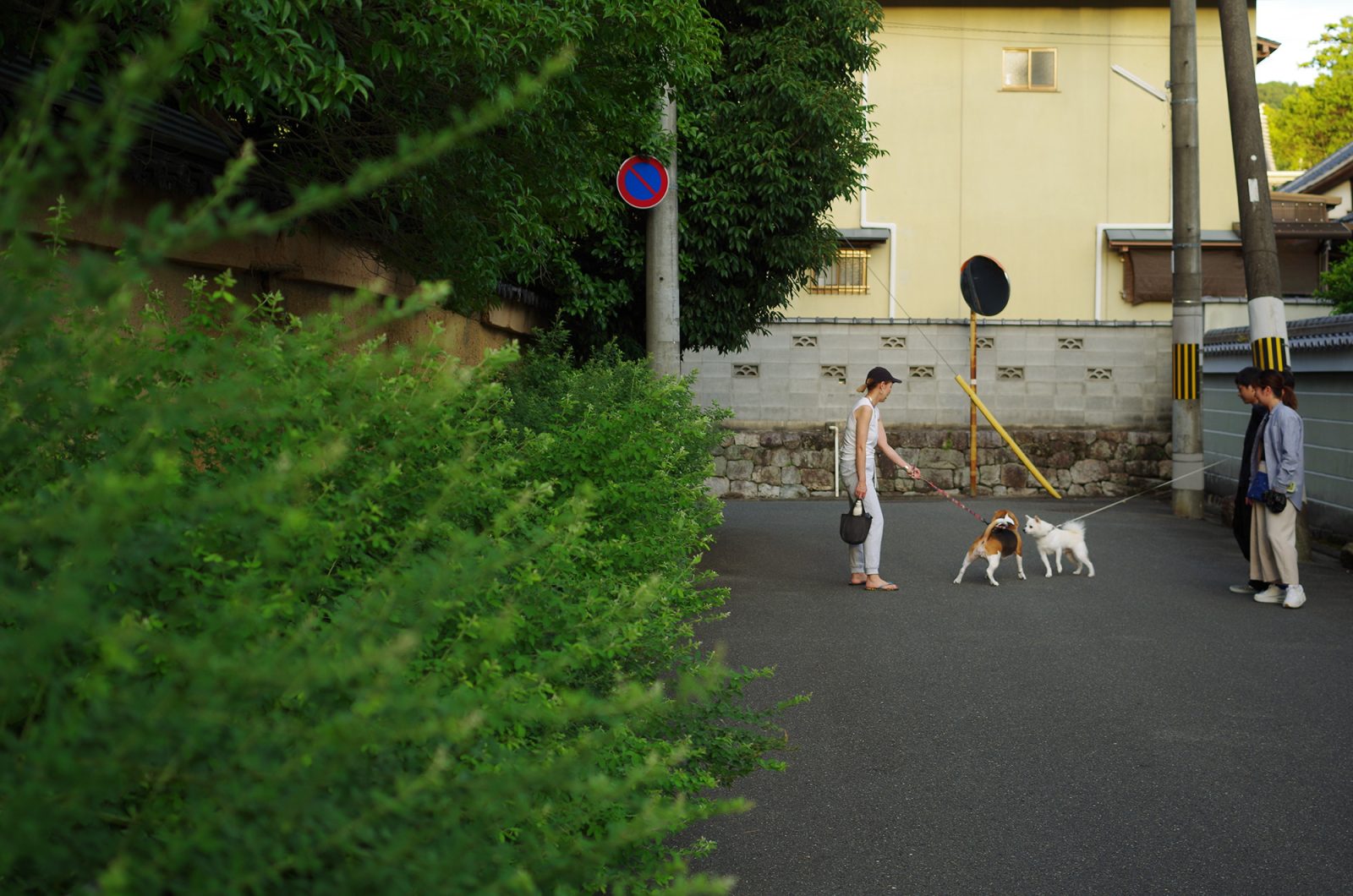 【#1】まず、歩くことについて