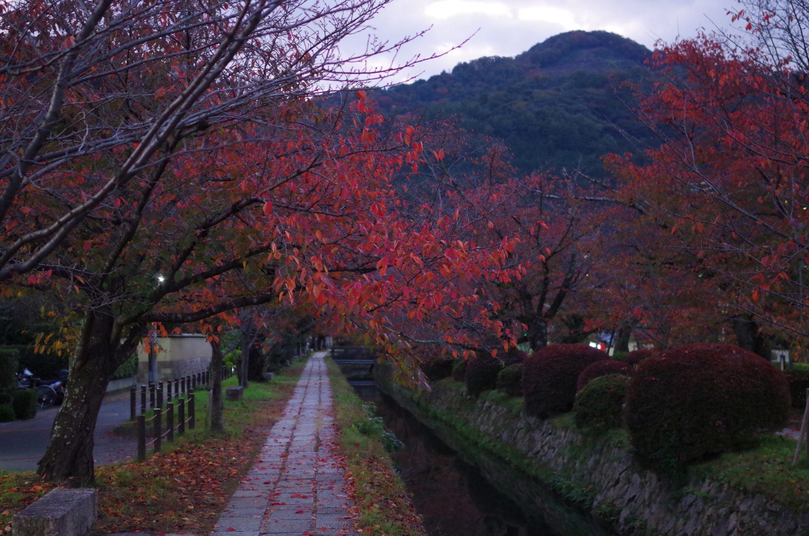 【#2】早朝、南禅寺まで