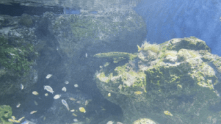 POP-EYE MEETING 編集会議 Vol.194