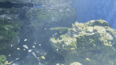 POP-EYE MEETING 編集会議 Vol.194