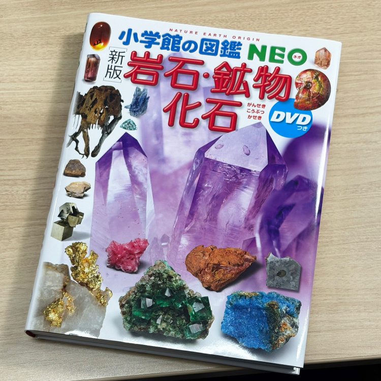 【#1】図鑑の表紙ができるまで