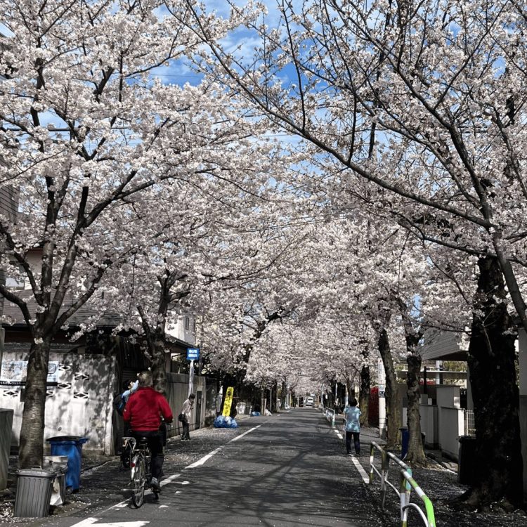 【#1】最後の微熱