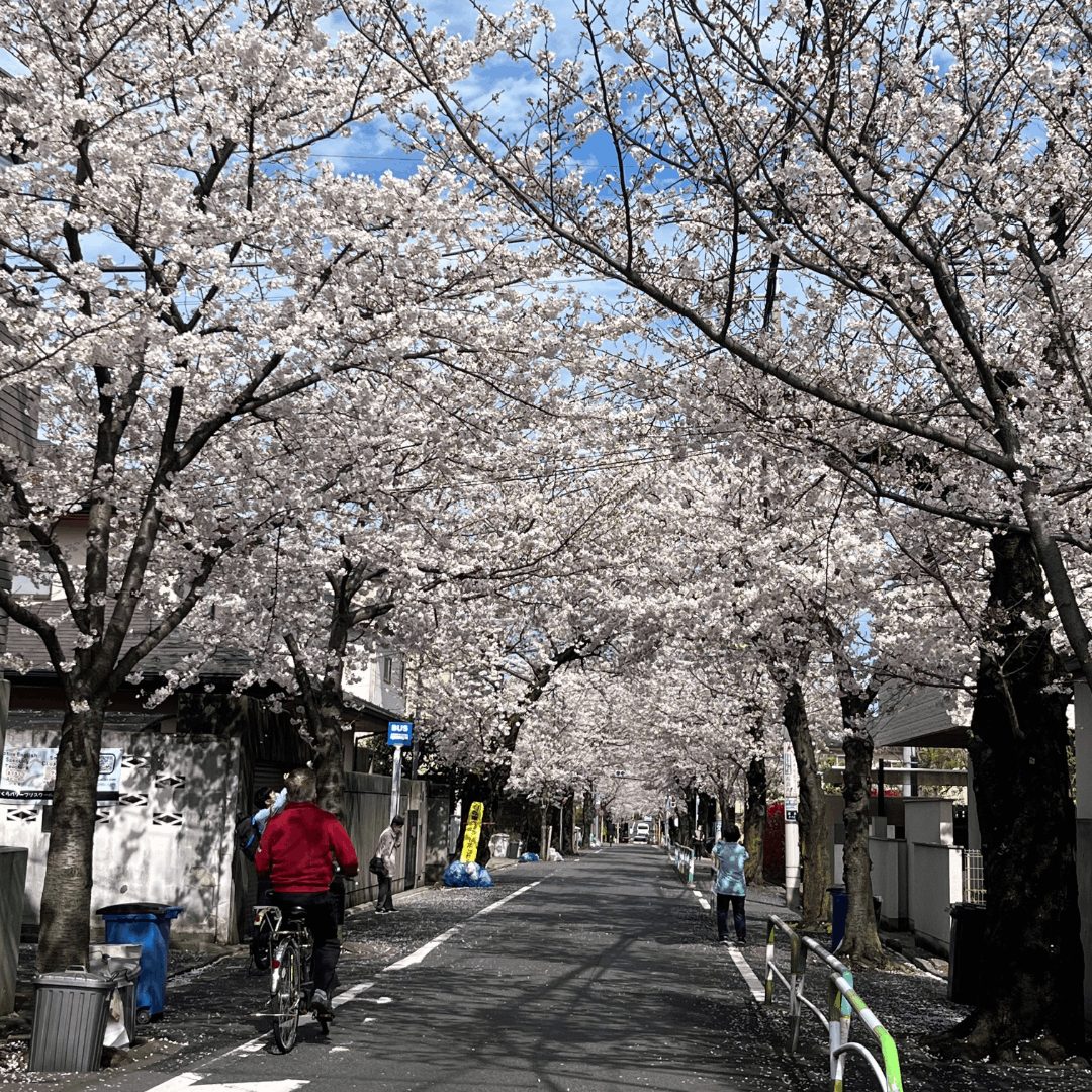 【#1】最後の微熱