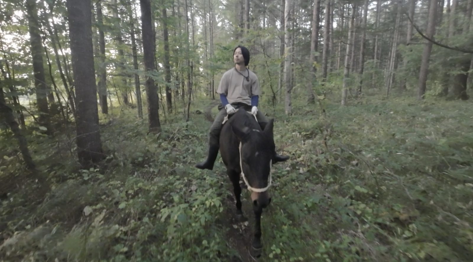 【#2】裸馬に乗る