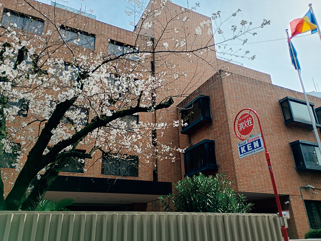 僕らが観てきた映画のABC。／WORLD