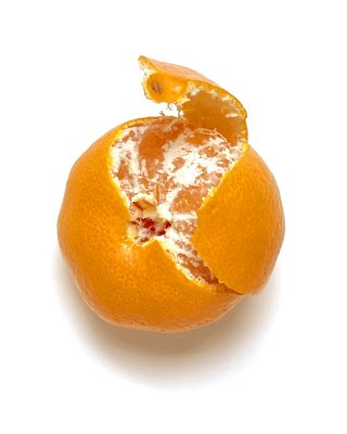 【#4】本=考えを入れるいれ物