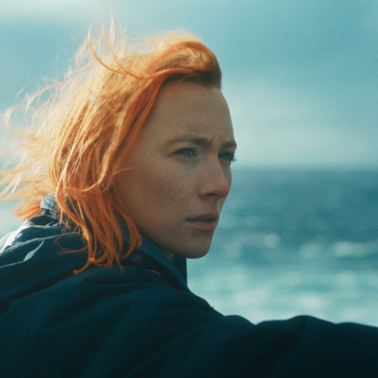 新しい1年の幕開けにピッタリな3作。