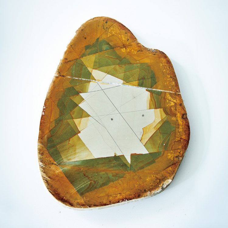 机の上のサイエンス。Vol.55