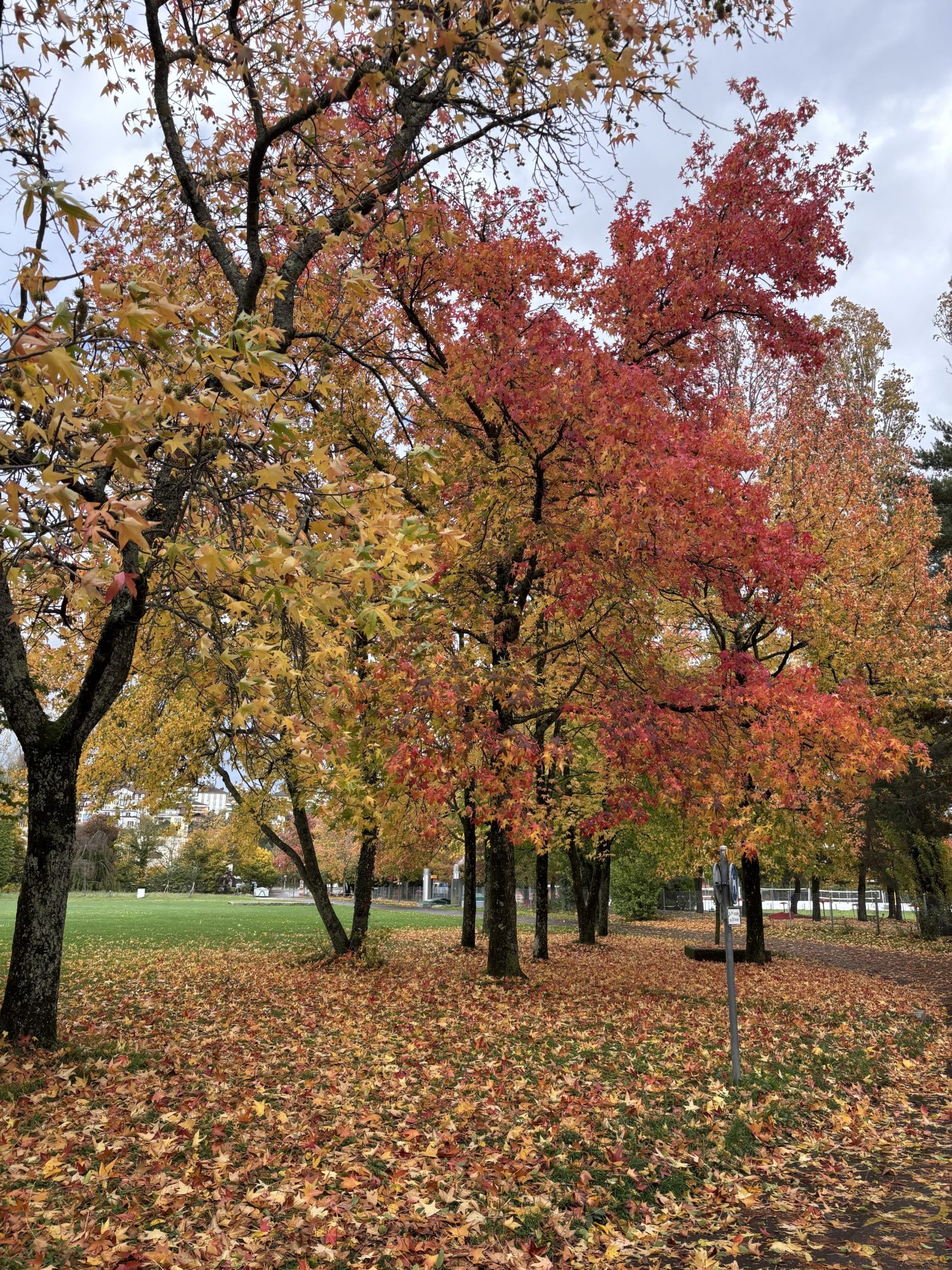 【#1】On a song I didn’t write