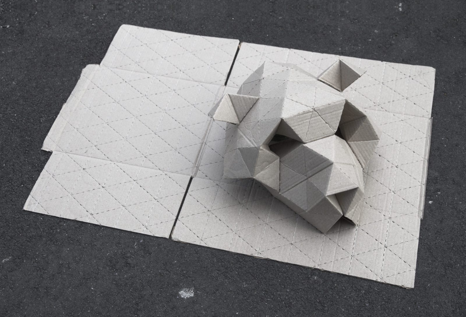 【#4】ダンボール社会学からみた日本