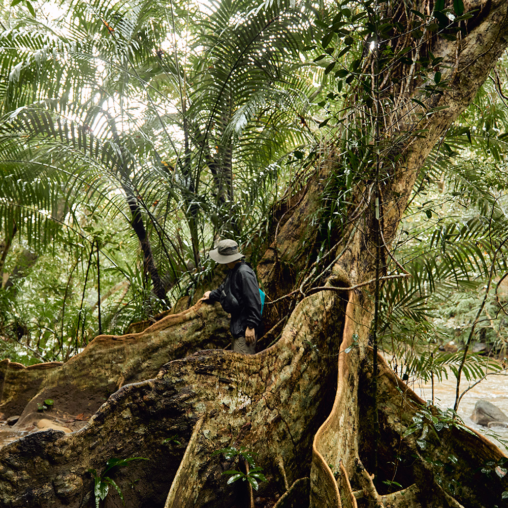 ”西表島の自然を守りながら楽しむ”ために、僕らができること。