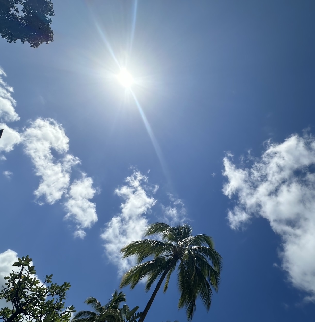 Girls in the City “supplement”／齋藤飛鳥