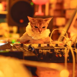 【#3】韓国最高のジャズヒップホップ・アルバム 『THX, AHMAD!』のプロデューサー、 サモ・キヨタ（SAMO KHIYOTA）。  アルバムのビハインドストーリー