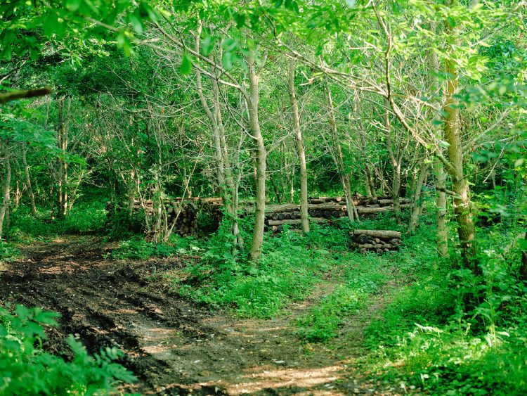 【#3】山ときのこと人／山ときのこ