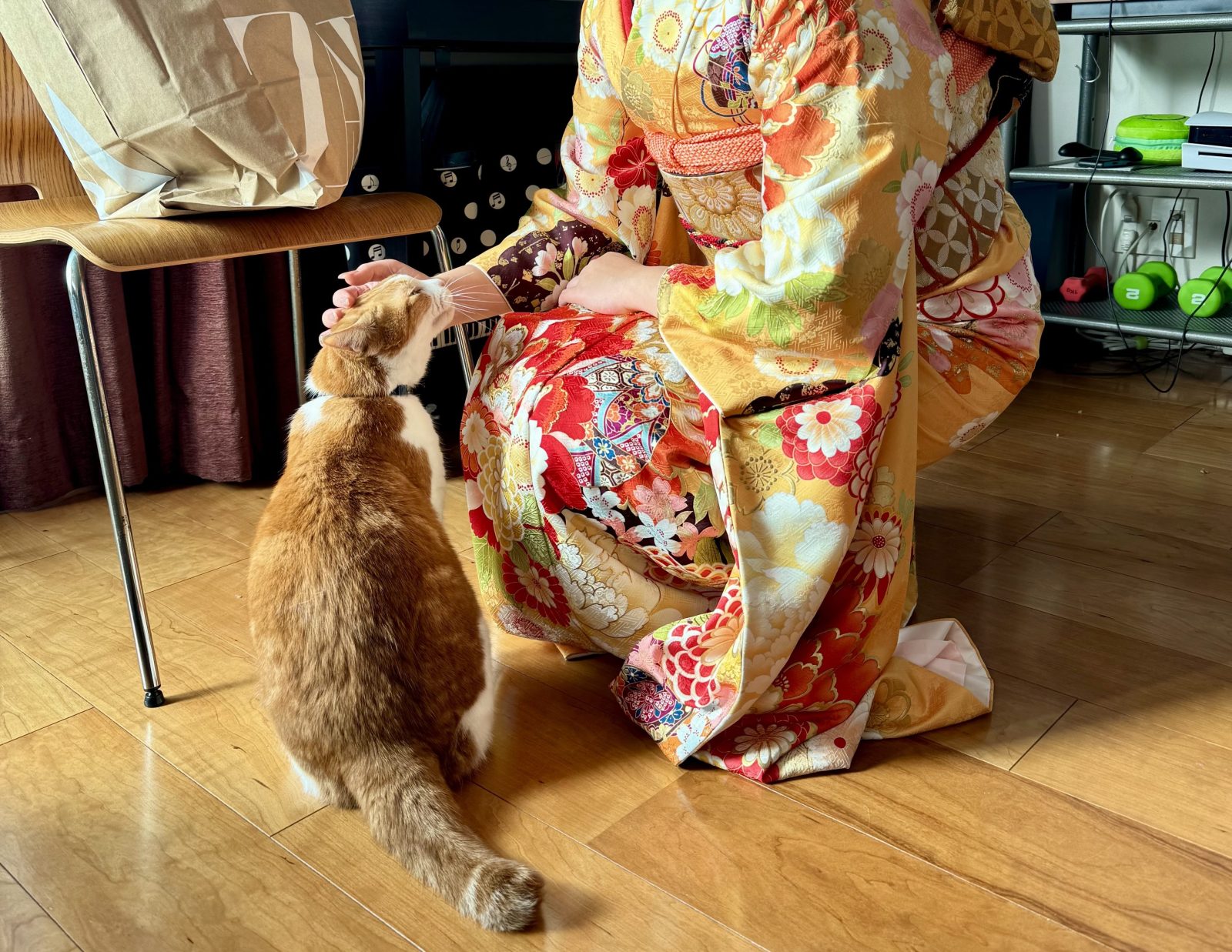 家の猫の話 Vol.24／文・ピエール瀧