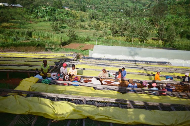 【#3】パーマカルチャーの実現