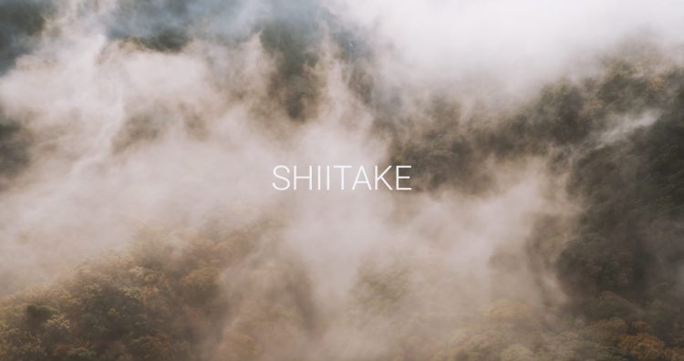 【#4】山ときのこと人／山ときのこと人