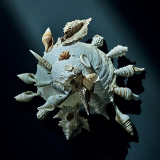 机の上のサイエンス。Vol.58