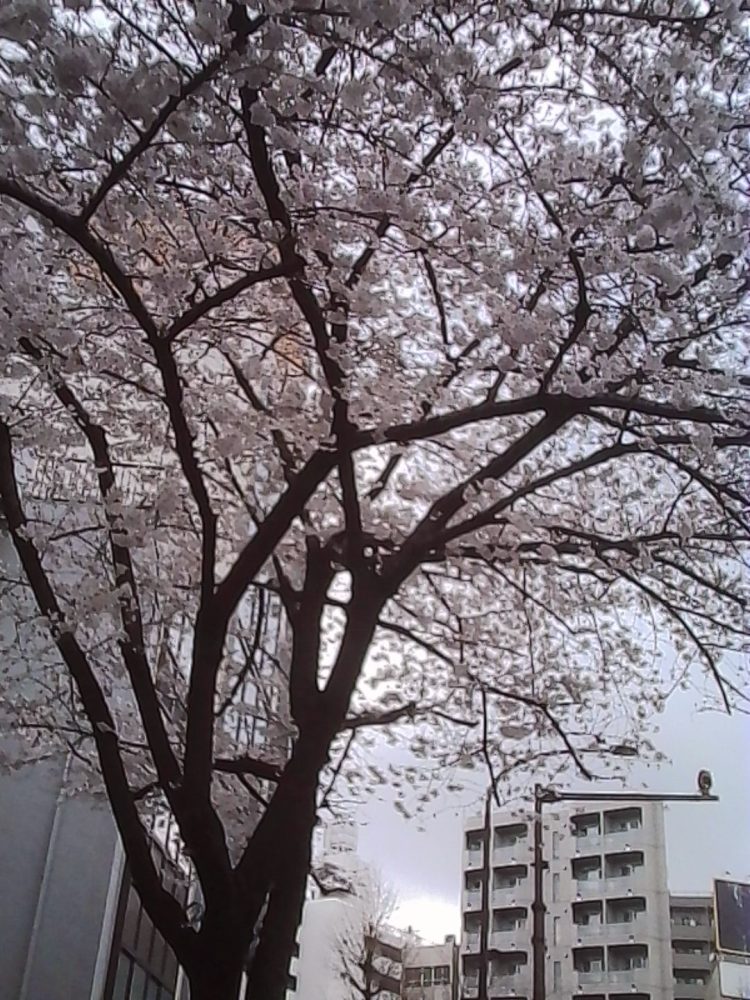 【#3】徒然草2026