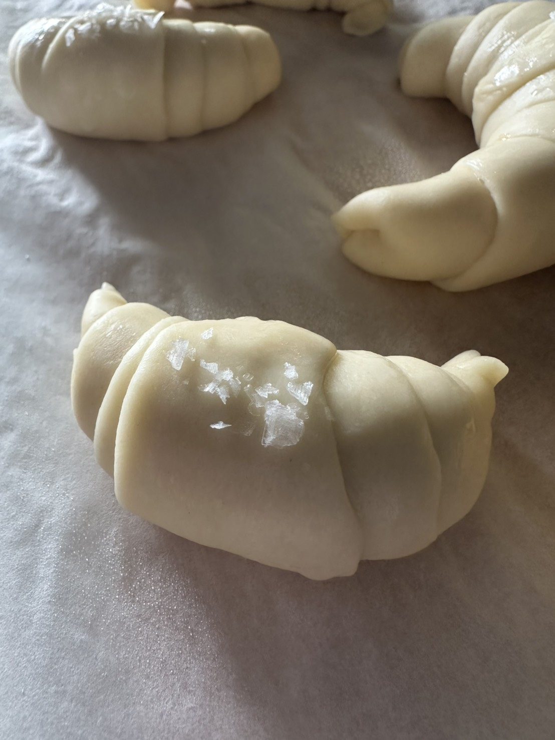 Girls in the City “supplement”／石井杏奈