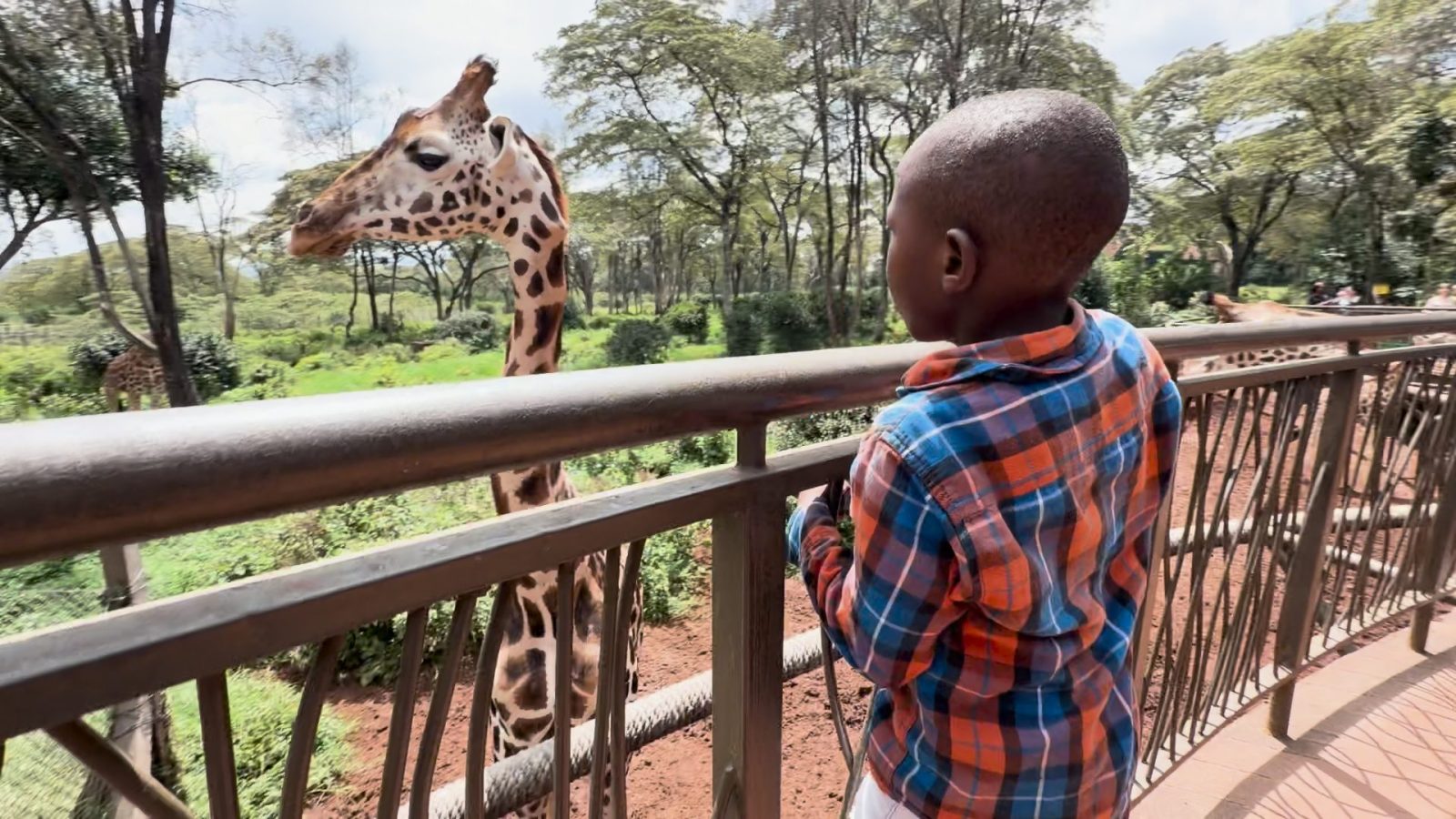 【#3】近くて遠い、ケニアのキリン
