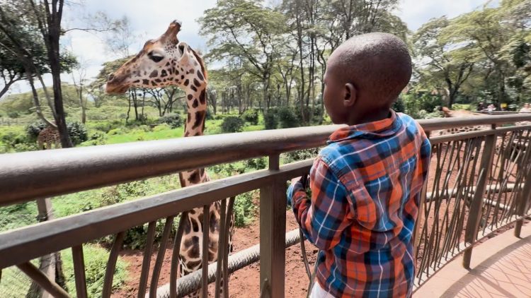 【#3】近くて遠い、ケニアのキリン